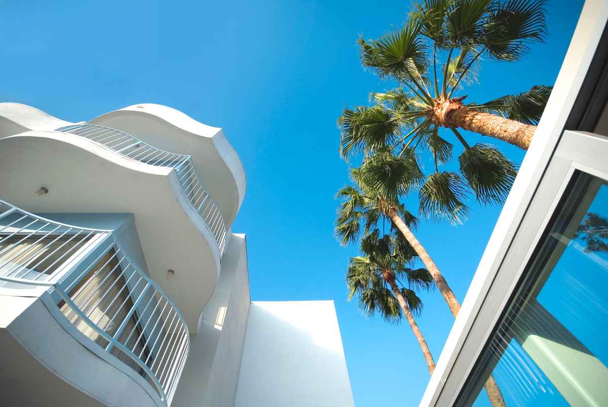 Palm trees framed by the balcony of a Los Angeles apartment building